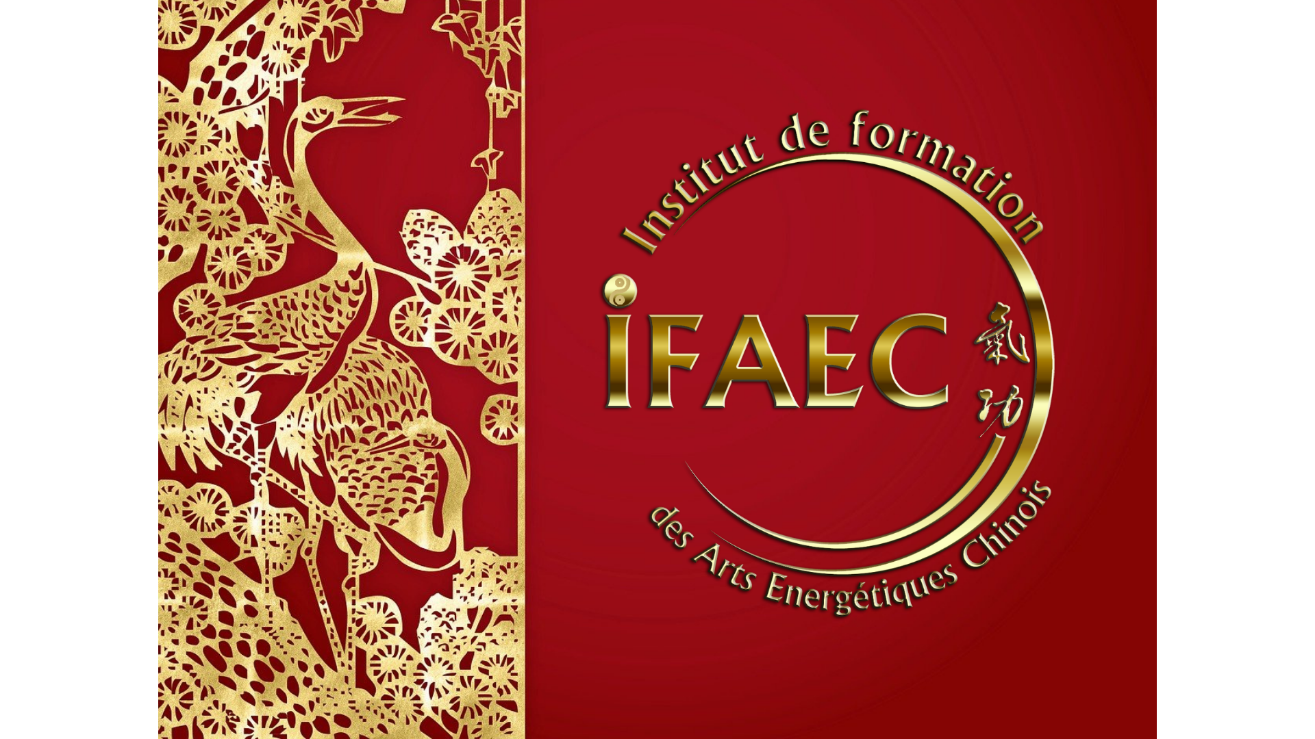 Logo IFAEC Grue (1920 × 1080 px) (2)